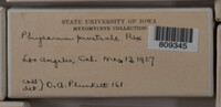 Image Associated With the Occurence